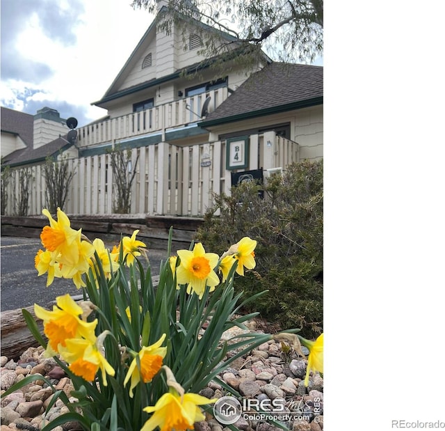 1010 S Saint Vrain Ave Unit 4, Estes Park, CO 80517