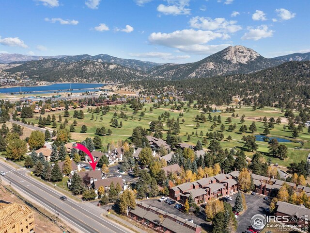 1010 S Saint Vrain Ave Unit 4, Estes Park, CO 80517