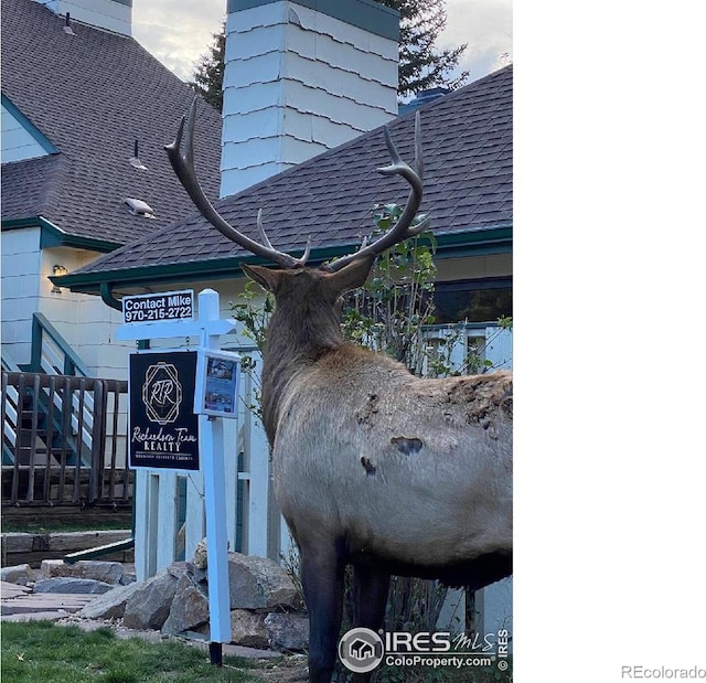 1010 S Saint Vrain Ave Unit 4, Estes Park, CO 80517