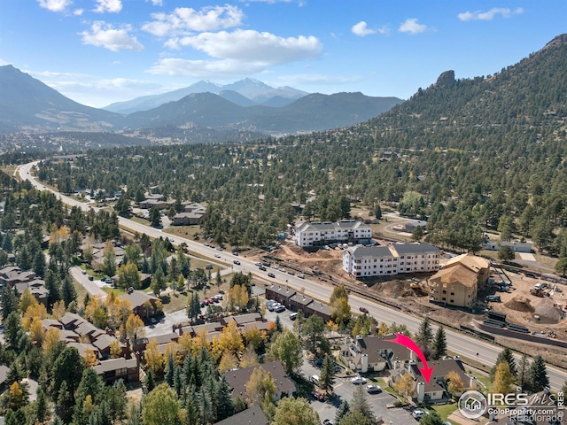 1010 S Saint Vrain Ave Unit 4, Estes Park, CO 80517