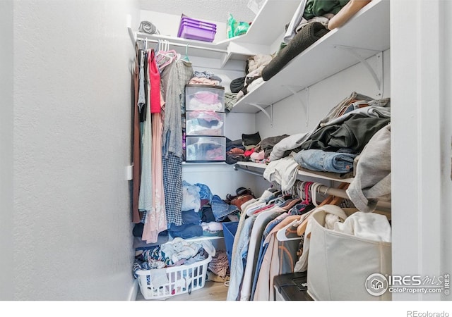 6076 Gunbarrel Ave Unit F, Boulder, CO 80301 - walk in closet with wood finished floors