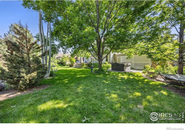 1892 Bell Dr, Erie, CO 80516 - view of green lawn