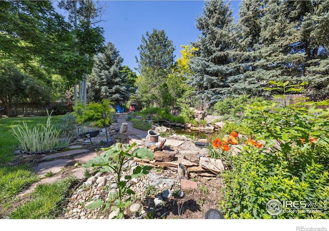 1892 Bell Dr, Erie, CO 80516 - view of yard