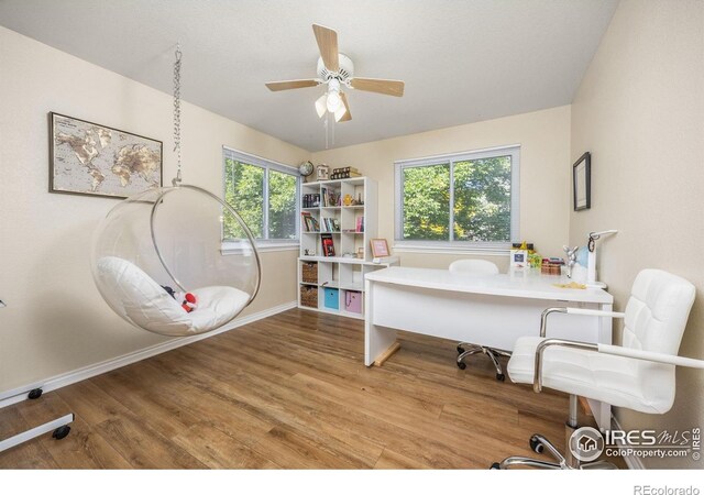 1892 Bell Dr, Erie, CO 80516 - office with baseboards, ceiling fan, and wood finished floors