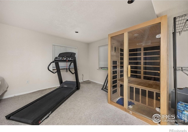 1892 Bell Dr, Erie, CO 80516 - exercise room with carpet, a sauna, baseboards, and a textured ceiling