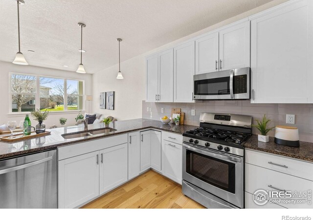 751 Grandview Mdws Dr, Longmont, CO 80503 - photo 15