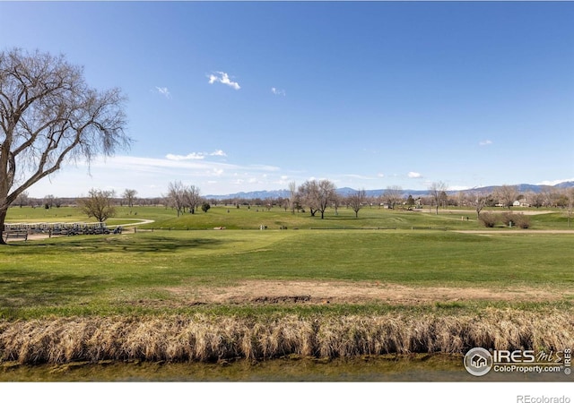 751 Grandview Mdws Dr, Longmont, CO 80503 - photo 35