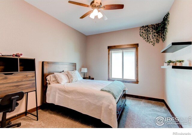 1015 Coral Burst Dr, Loveland, CO 80538 - photo 23