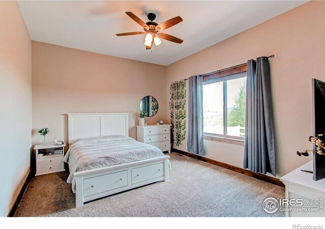 1015 Coral Burst Dr, Loveland, CO 80538 - photo 27