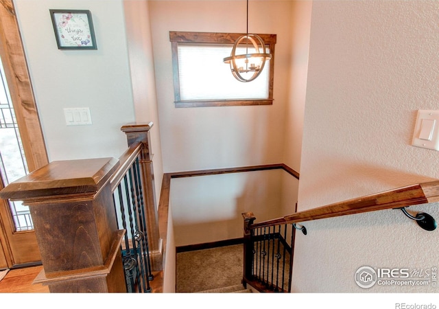 1015 Coral Burst Dr, Loveland, CO 80538 - photo 28