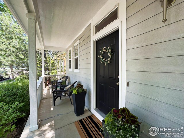 3620 Cassiopeia Ln, Fort Collins, CO 80528 - photo 5