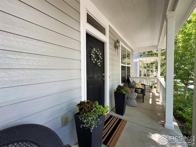 3620 Cassiopeia Ln, Fort Collins, CO 80528 - photo 6