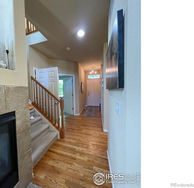 3620 Cassiopeia Ln, Fort Collins, CO 80528 - photo 7