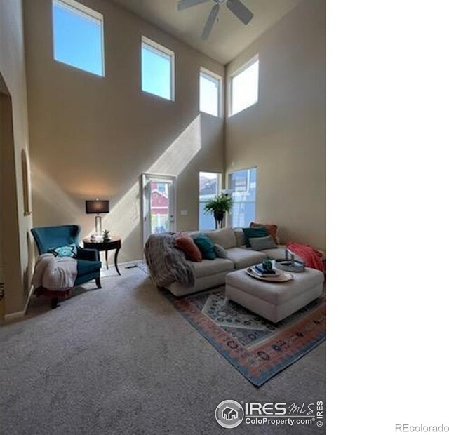 3620 Cassiopeia Ln, Fort Collins, CO 80528 - photo 12