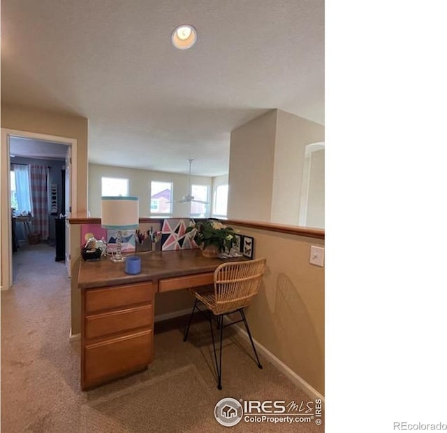 3620 Cassiopeia Ln, Fort Collins, CO 80528 - photo 15