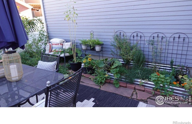 3620 Cassiopeia Ln, Fort Collins, CO 80528 - photo 27