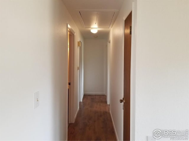 829 Hubbard Dr, Longmont, CO 80504 - corridor featuring attic access, wood finished floors, and baseboards
