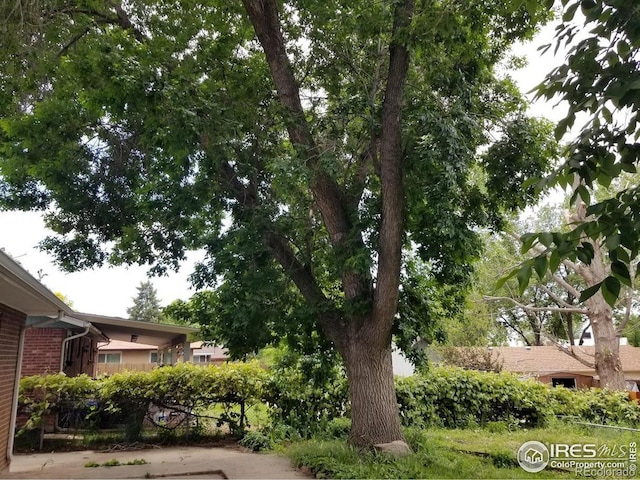 829 Hubbard Dr, Longmont, CO 80504 - view of yard
