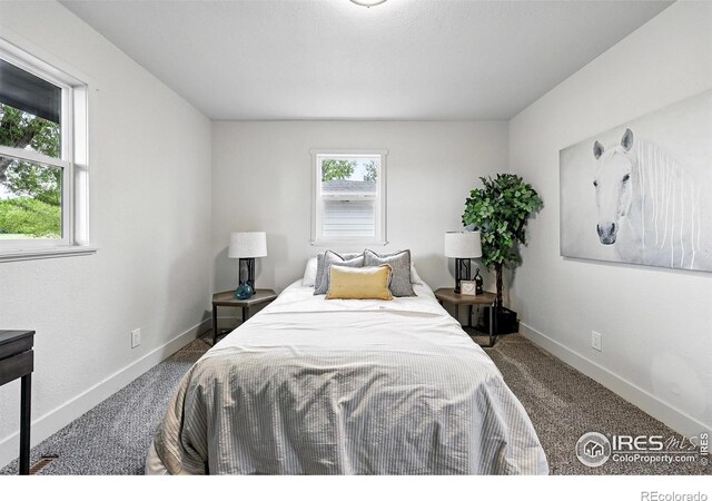 241 N Taft Hill Rd, Fort Collins, CO 80521 - photo 27