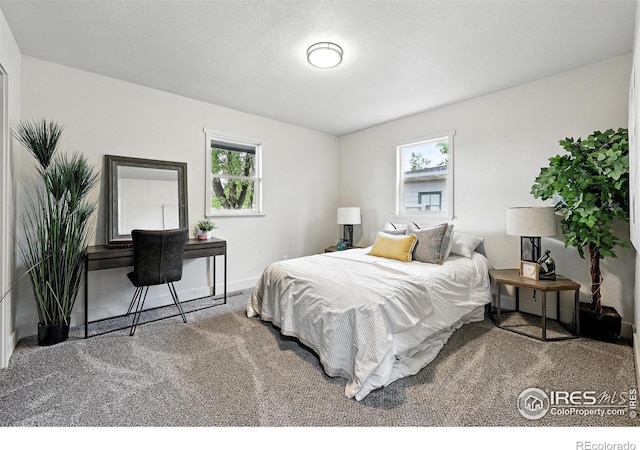241 N Taft Hill Rd, Fort Collins, CO 80521 - photo 28