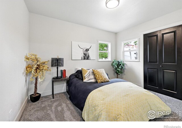 241 N Taft Hill Rd, Fort Collins, CO 80521 - photo 29