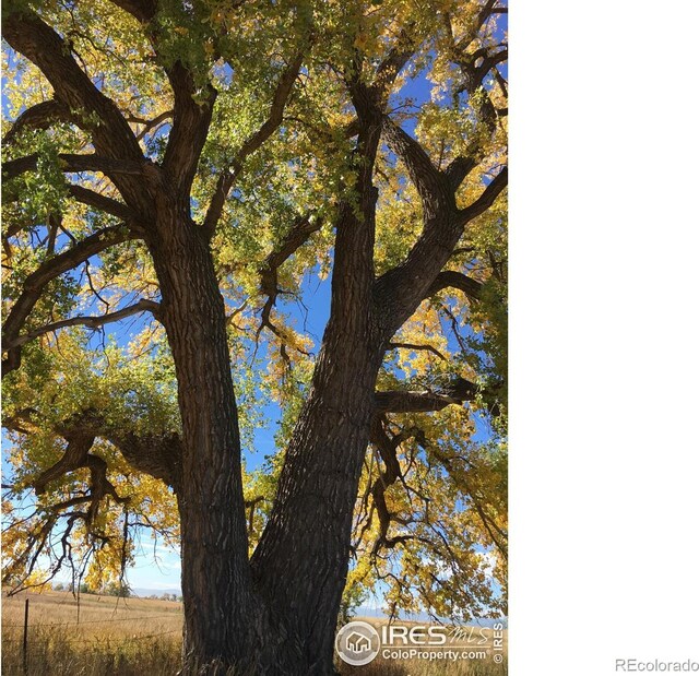 7614 County Road 8, Brighton, CO 80603 - photo 20