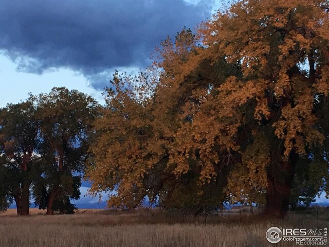 7614 County Road 8, Brighton, CO 80603 - photo 21