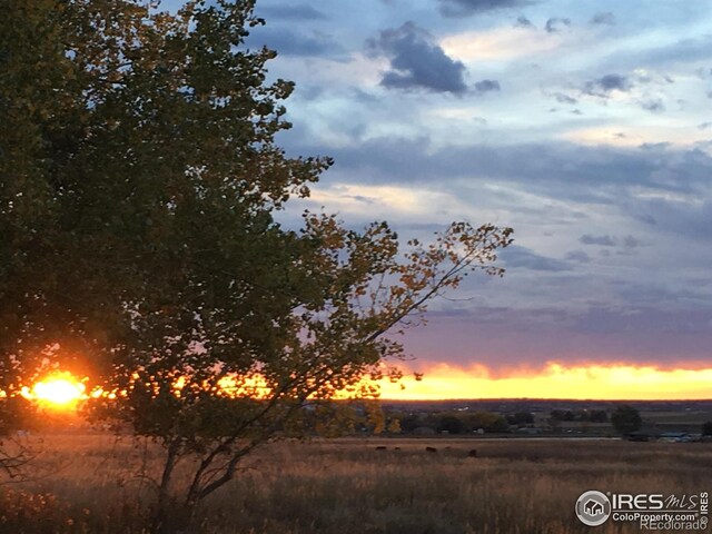 7614 County Road 8, Brighton, CO 80603 - photo 25