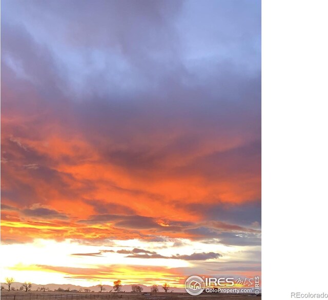 7614 County Road 8, Brighton, CO 80603 - photo 29