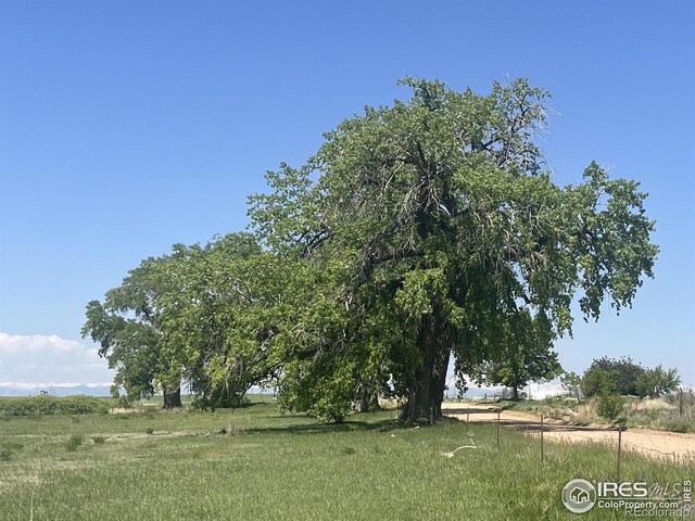 7614 County Road 8, Brighton, CO 80603 - photo 32