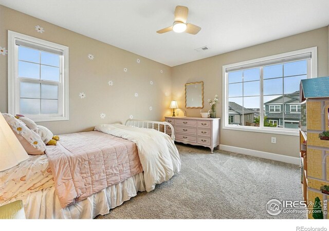 952 Pinecliff Dr, Erie, CO 80516 - photo 23