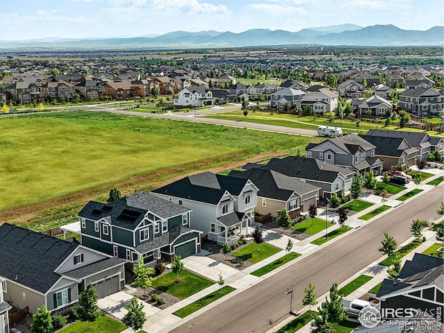 952 Pinecliff Dr, Erie, CO 80516 - photo 35