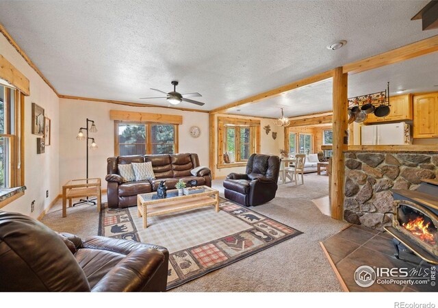 428 Rustic Rd, Bellvue, CO 80512
