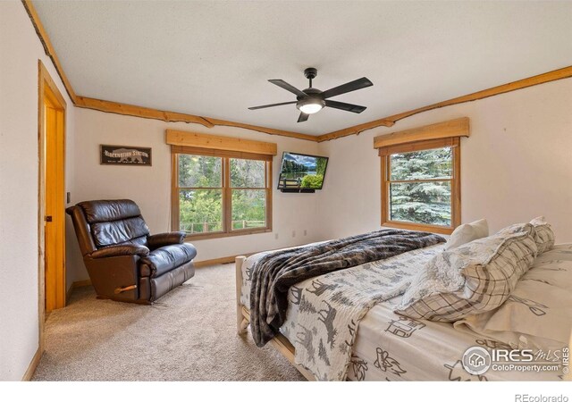 428 Rustic Rd, Bellvue, CO 80512