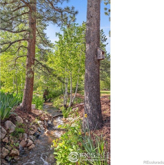 428 Rustic Rd, Bellvue, CO 80512