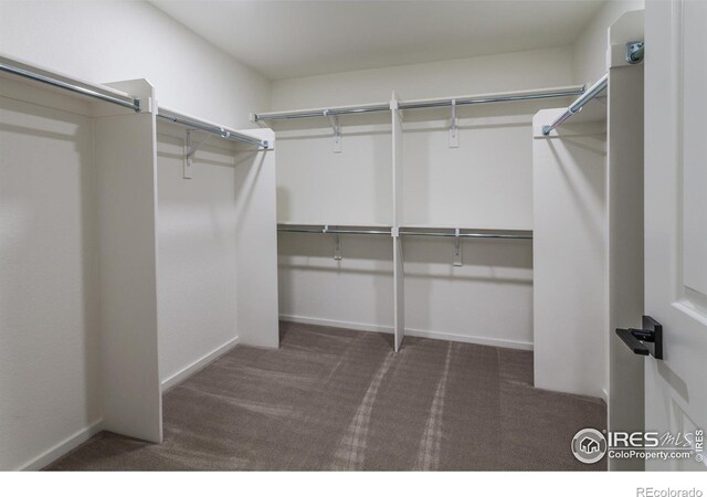 1600 Sunflower Way, Johnstown, CO 80534 - photo 28