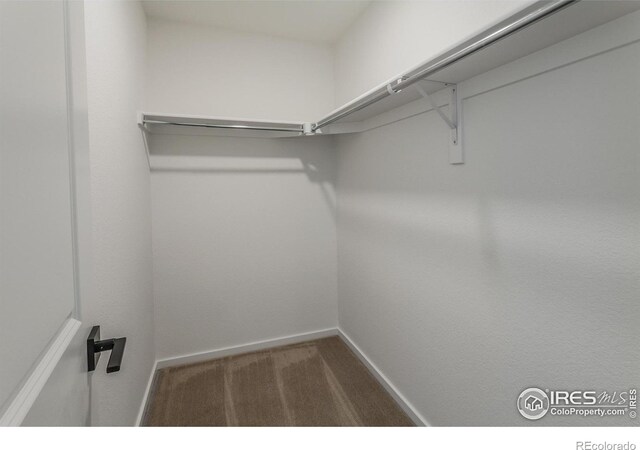 1600 Sunflower Way, Johnstown, CO 80534 - photo 32