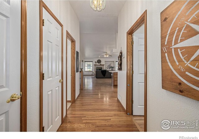 2604 Anemonie Dr, Loveland, CO 80537 - photo 4