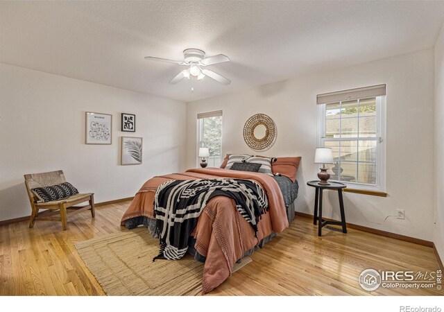 2604 Anemonie Dr, Loveland, CO 80537 - photo 15