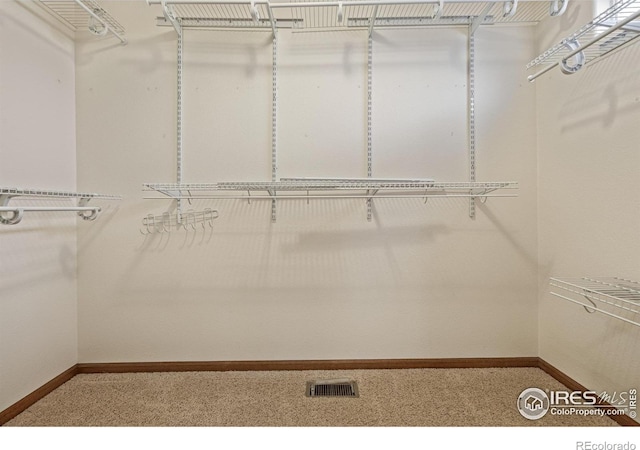 2604 Anemonie Dr, Loveland, CO 80537 - photo 18