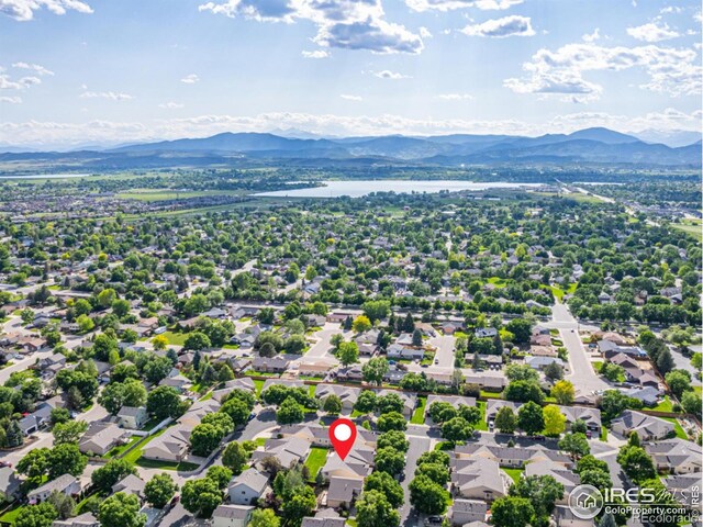 2604 Anemonie Dr, Loveland, CO 80537 - photo 36