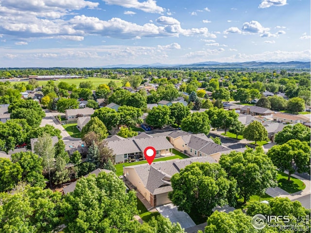 2604 Anemonie Dr, Loveland, CO 80537 - photo 35