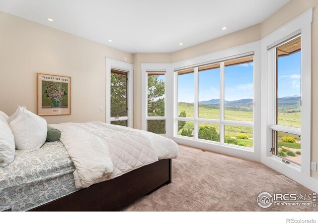 5008 Indian Creek Rd, Loveland, CO 80538 - photo 28