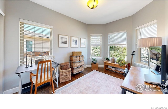 6945 N Fargo Trl, Littleton, CO 80125 - home office featuring wood finished floors and baseboards