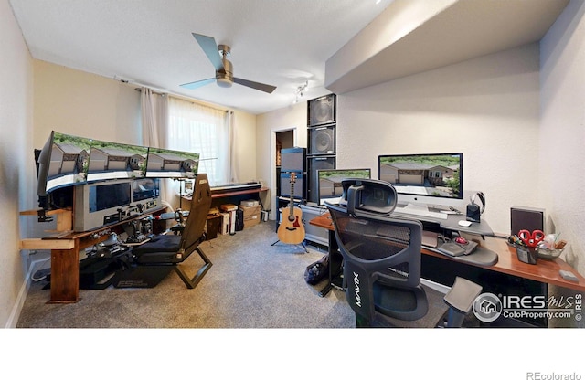 6945 N Fargo Trl, Littleton, CO 80125 - carpeted office space with ceiling fan