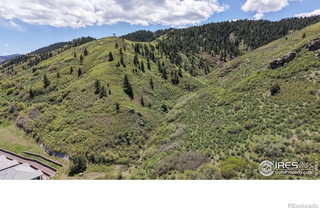 6945 N Fargo Trl, Littleton, CO 80125 - view of mountain background with a heavily wooded area