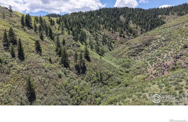 6945 N Fargo Trl, Littleton, CO 80125 - view of mountain background with a forest