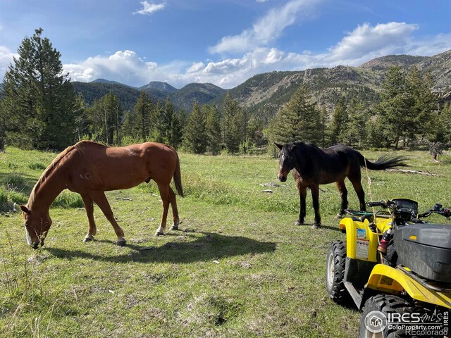 0 Hemlock, Lyons, CO 80540
