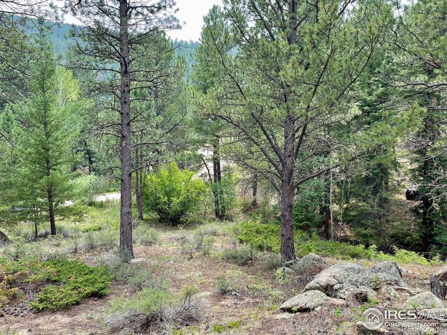 0 Hemlock, Lyons, CO 80540