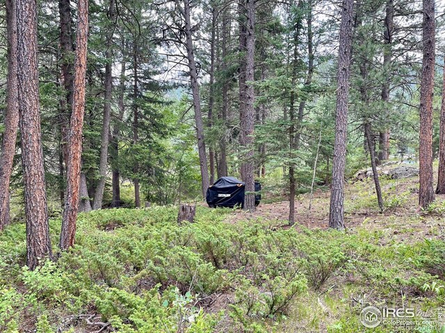 0 Hemlock, Lyons, CO 80540